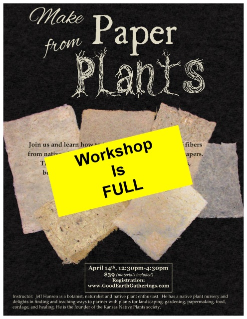 make-paper-from-plants